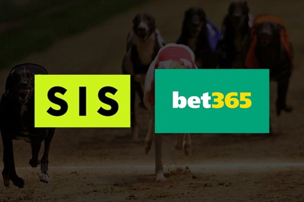 como funciona apostas esportivas bet365